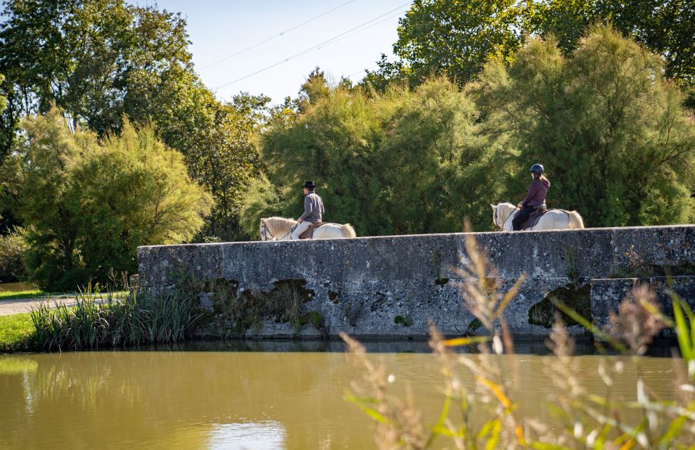 vue sur la route des Cardinaux qui borde la Charente