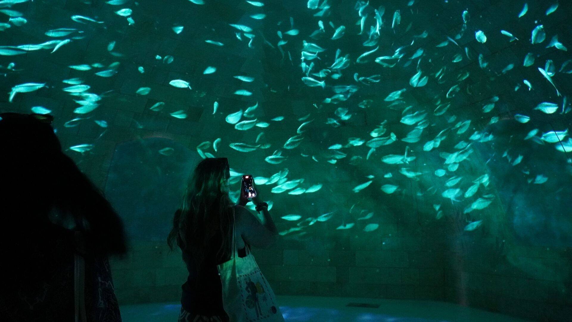 Exposition immersive sur les fonds marins au fort Liédot sur l'île d'Aix 