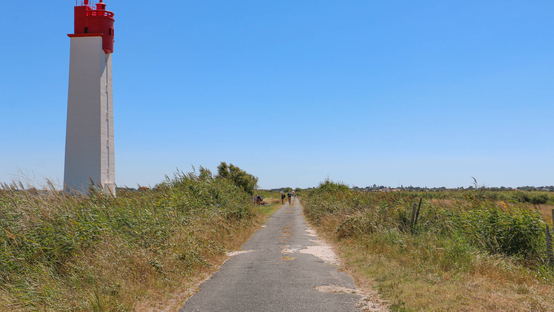 marais-soumard-fouras-les-bains-rochefort-ocean©Caroline Jarry
