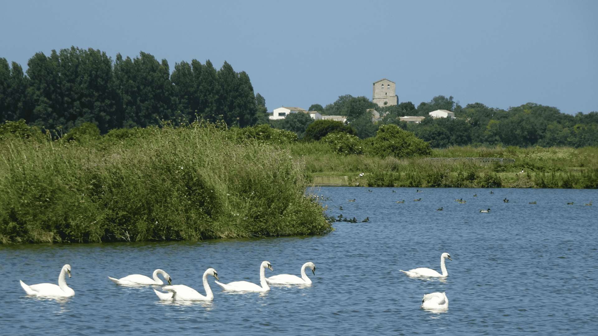 Marais de Soubise