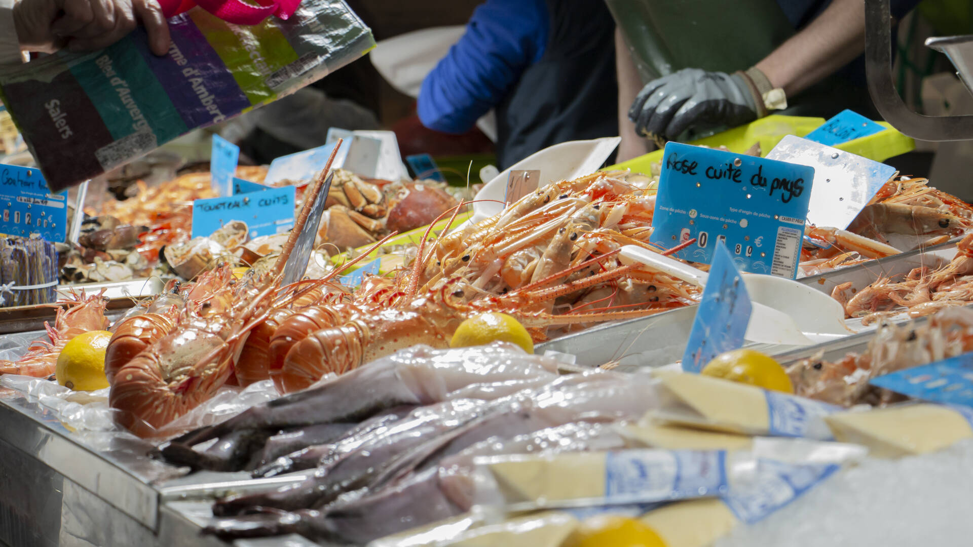 Halles aux poissons ©Charlène Félicité