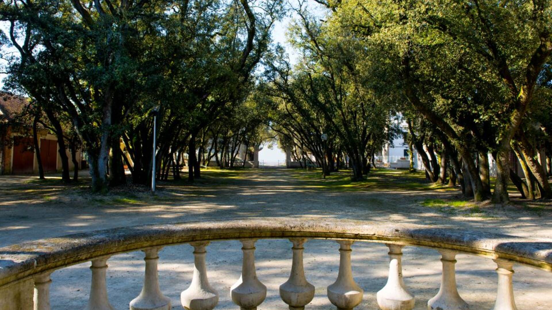 Bois Vert de Fouras-les-Bains