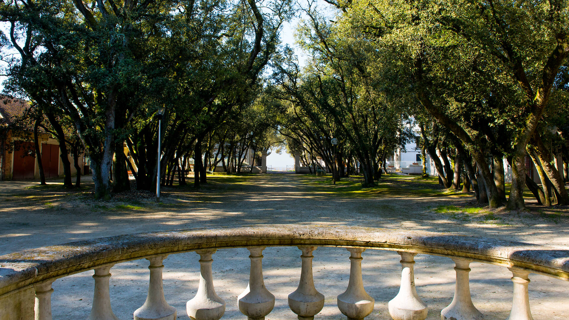 Bois Vert de Fouras-les-Bains