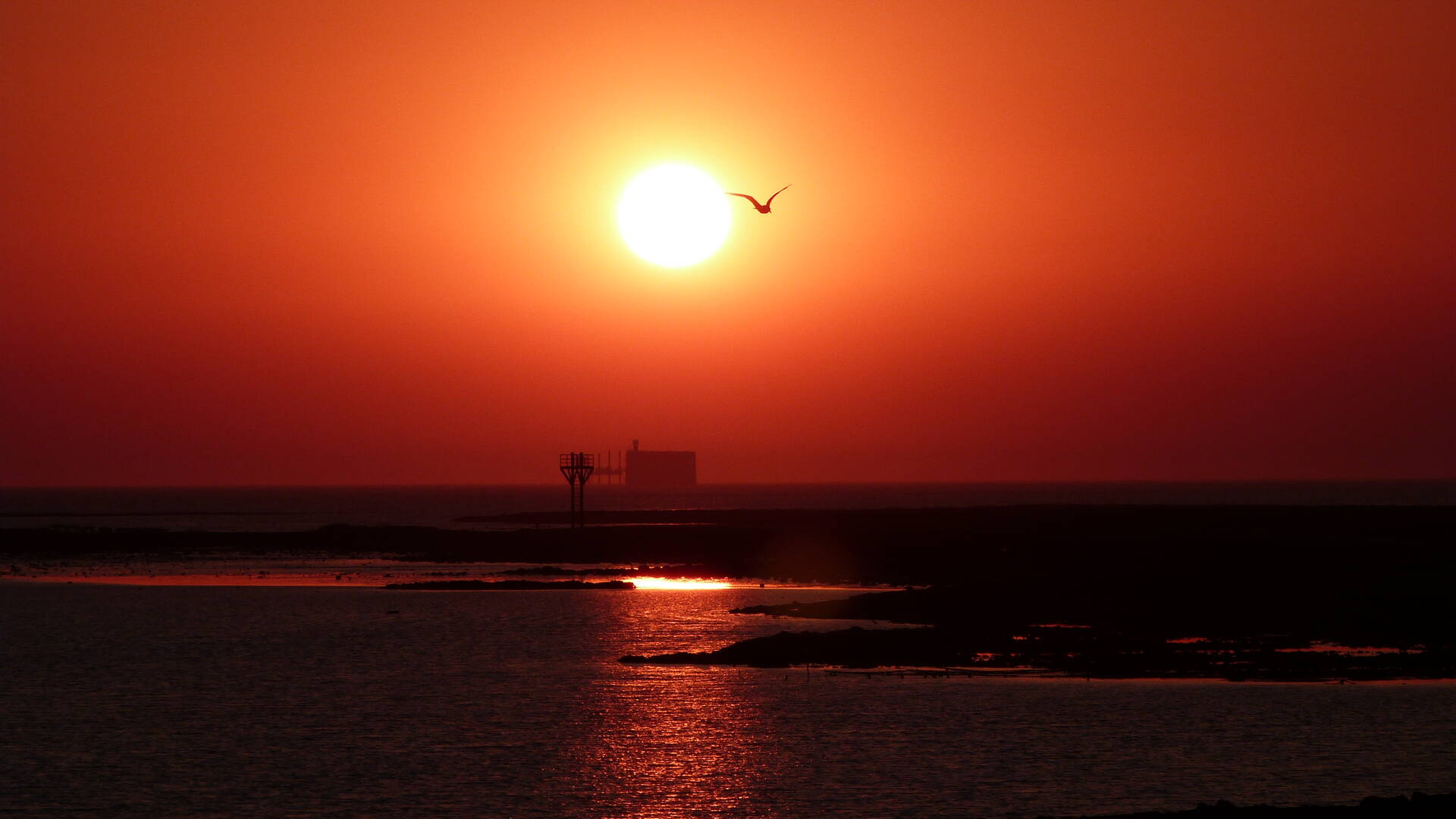 rochefortocean-coucher-de-soleil-fort-boyard-fouras-pointe-de-la-fumée © Marine de Villartay OTRO