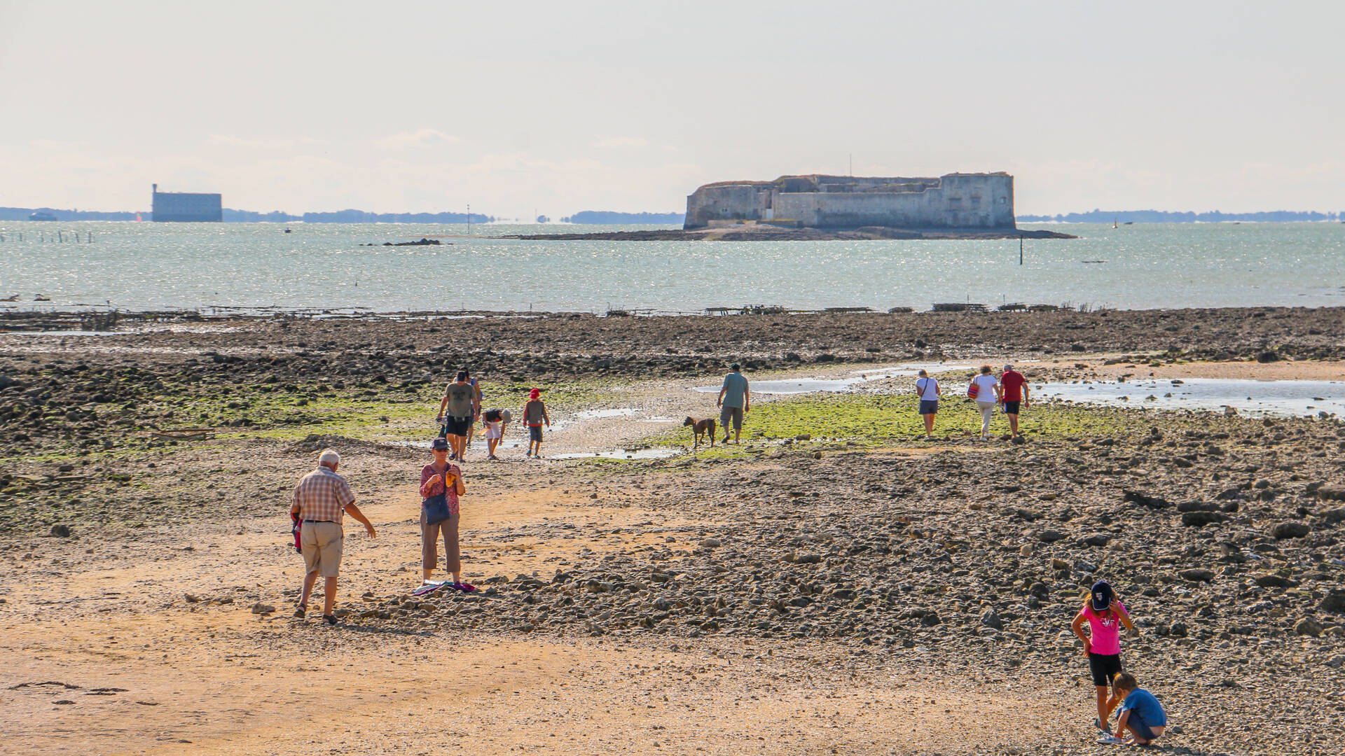Pêche à pied, fort Enet et Boyard, Pointe de la Fumée, Fouras-les-Bains, Rochefort Océan 