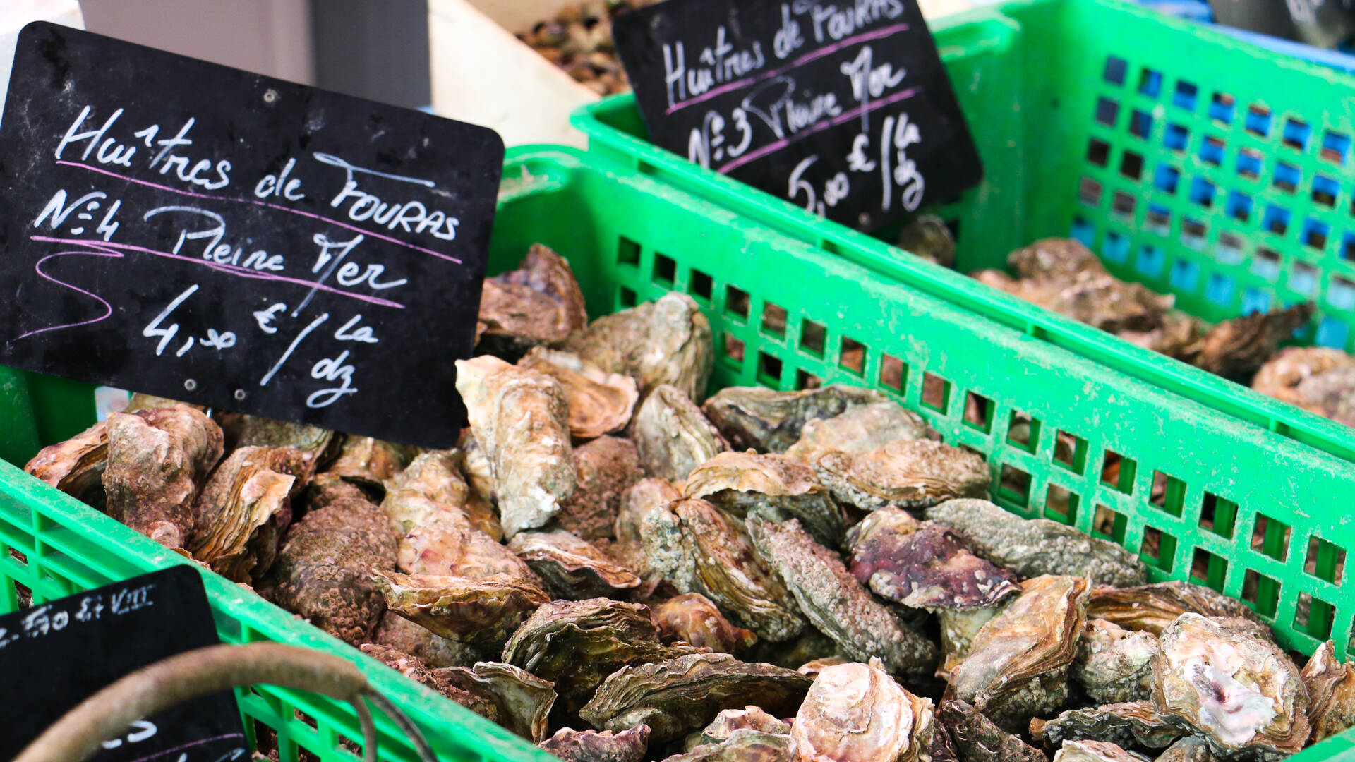Offrir des huîtres à la Saint-Valentin © Office Tourisme Rochefort Océan