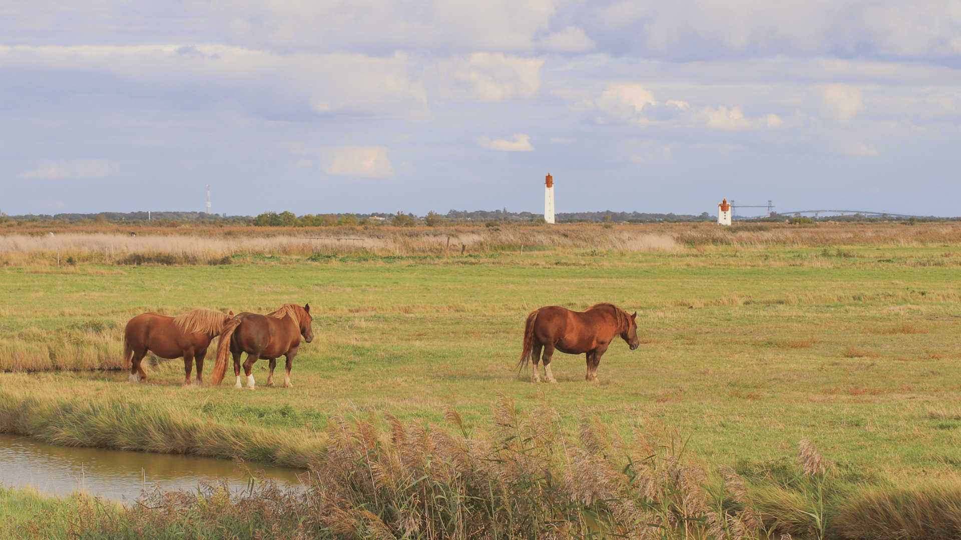 Les marais de Soumard, Fouras les Bains © Marine de Villartay 