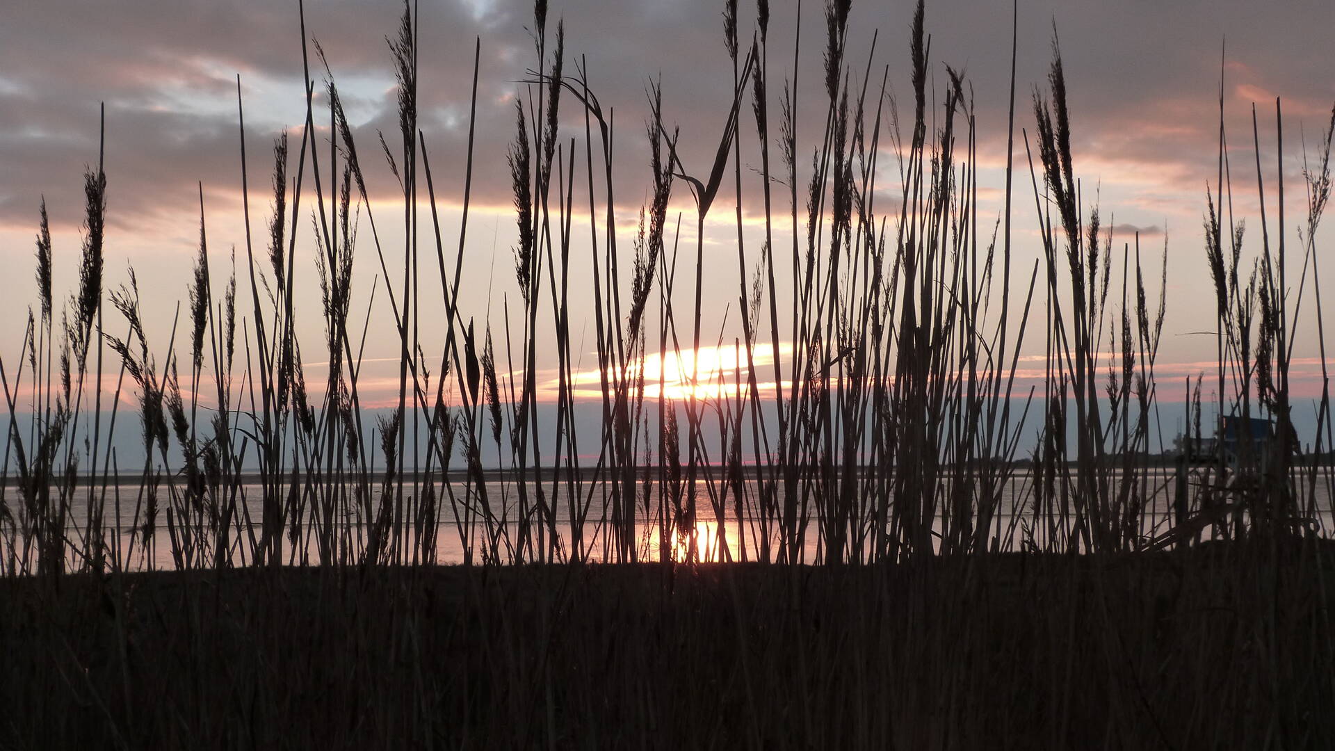 Nature au soleil couchant en hiver 