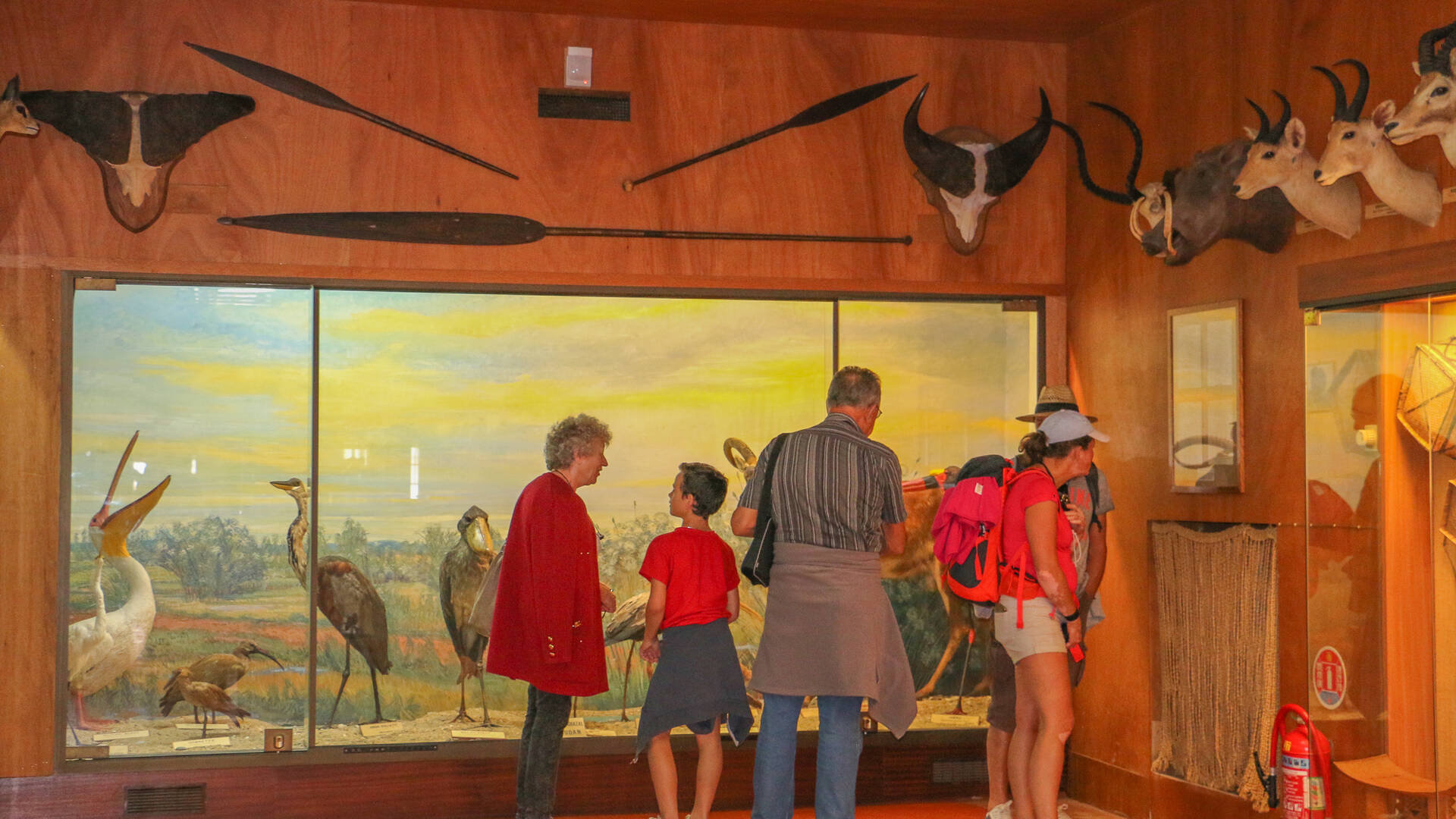 Collections de chasses africaines du baron Gourgaud