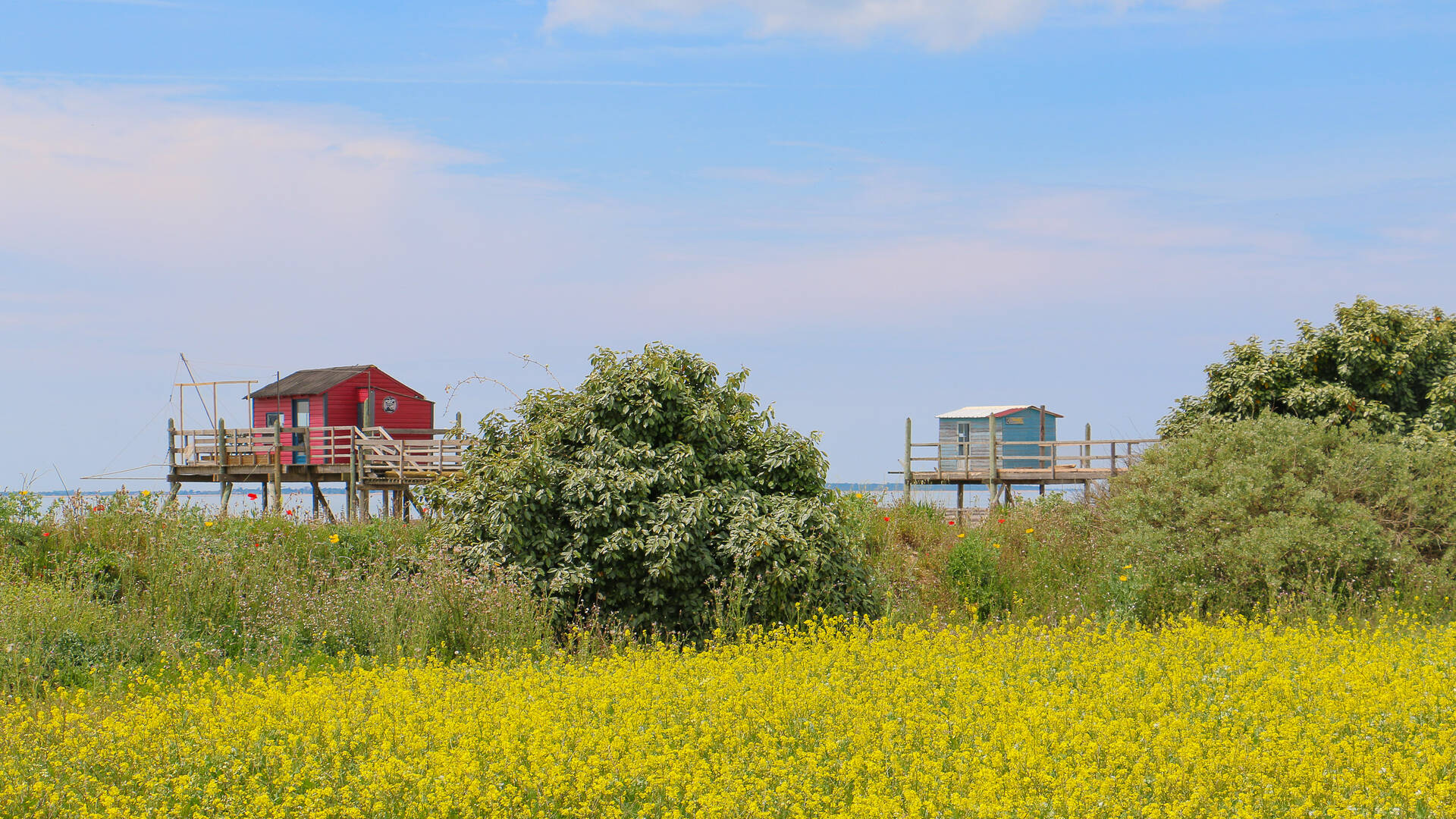 L'île Madame et ses carrelets, Rochefort Océan