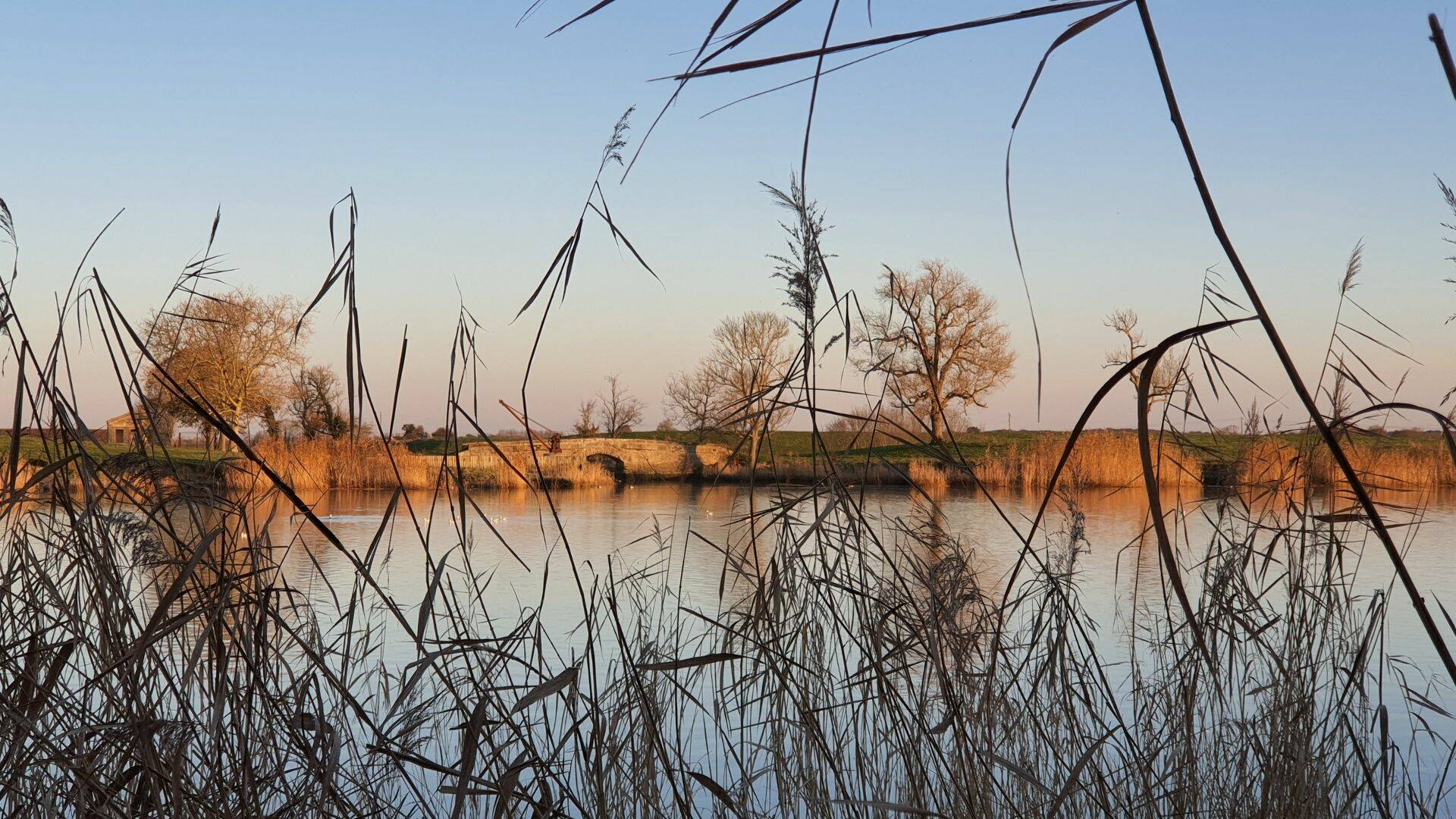 Bord de la Charente à Rochefort 