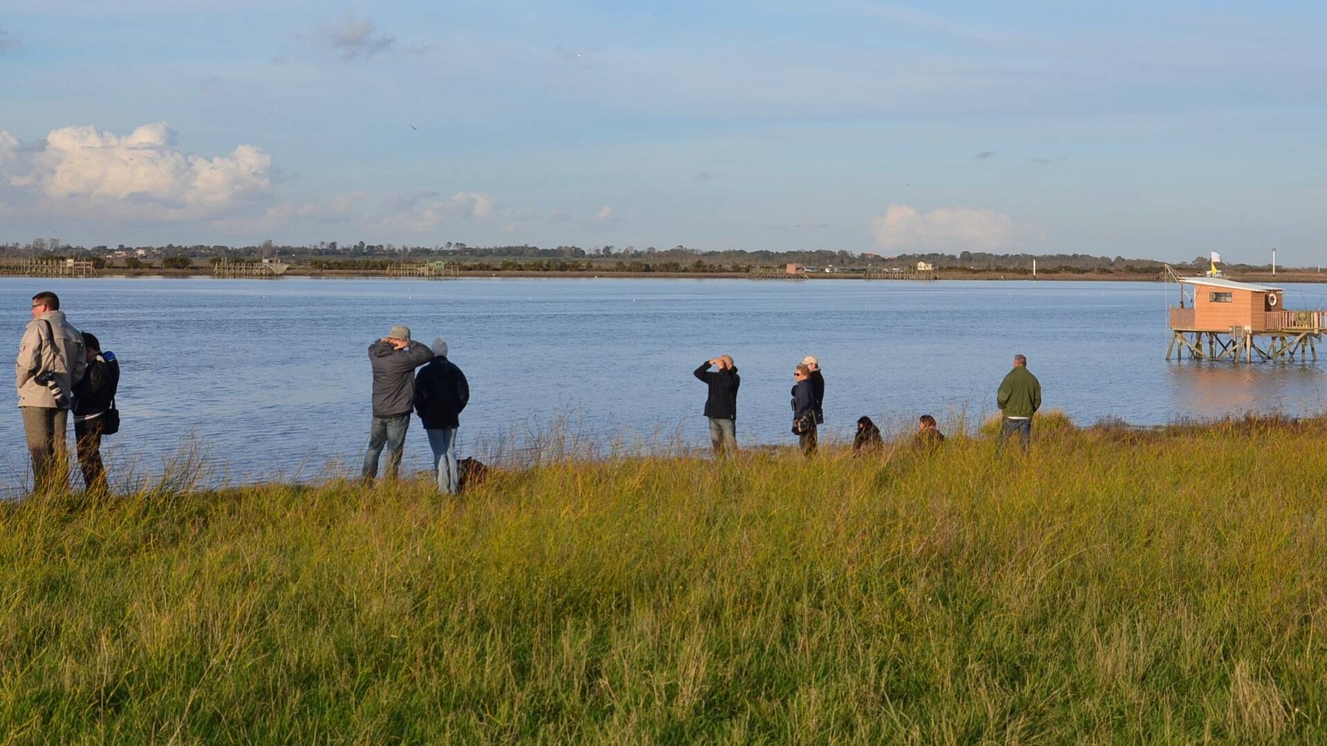 Balades en bord de Charente ©S.Courtois