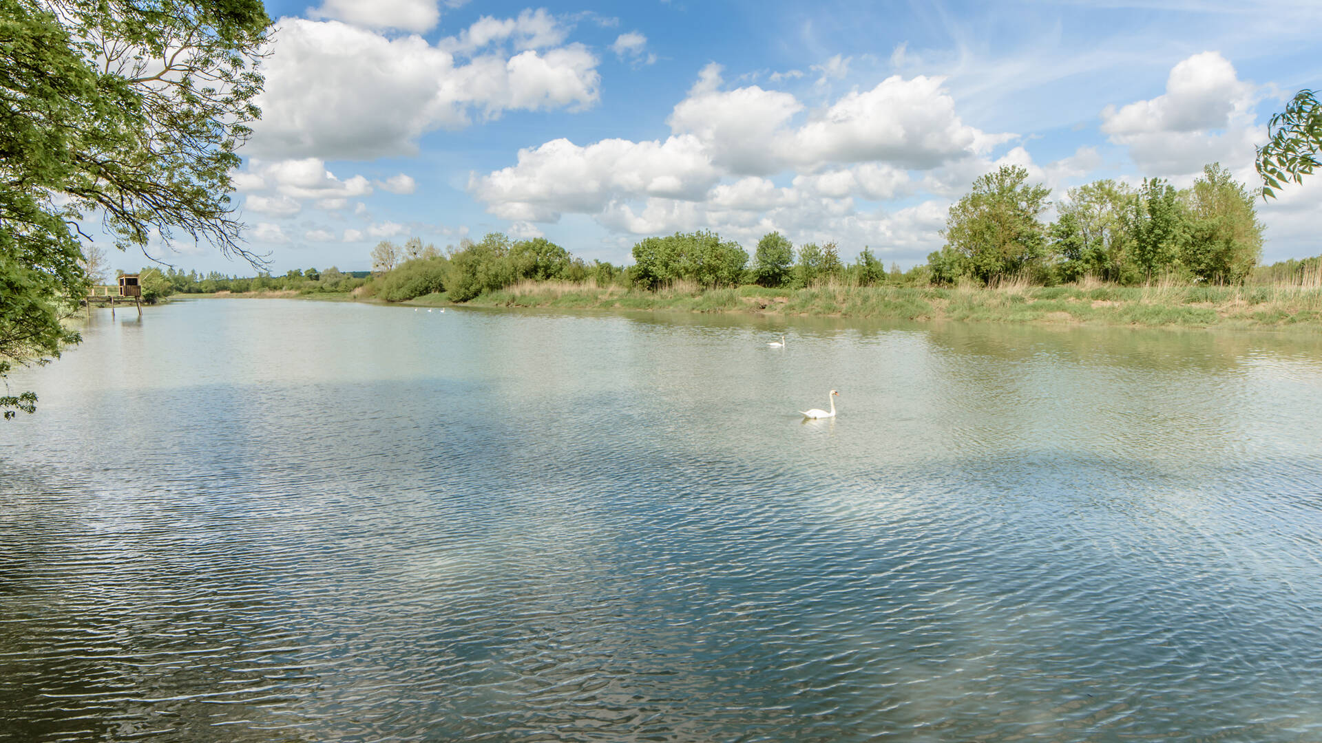 Paysage de Marais © Laurent Pétillon 