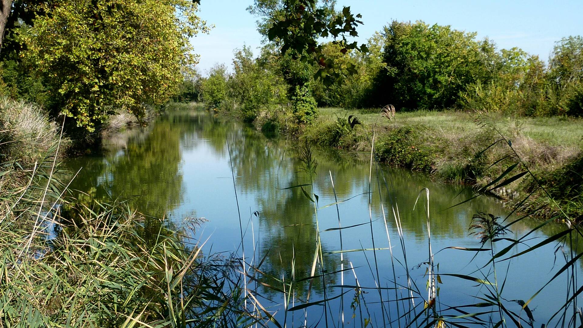 rochefort-ocean-peche-eau-douce-canal-de-Charras © Fédération départementale pour la pêche et la protection du milieu aquatique