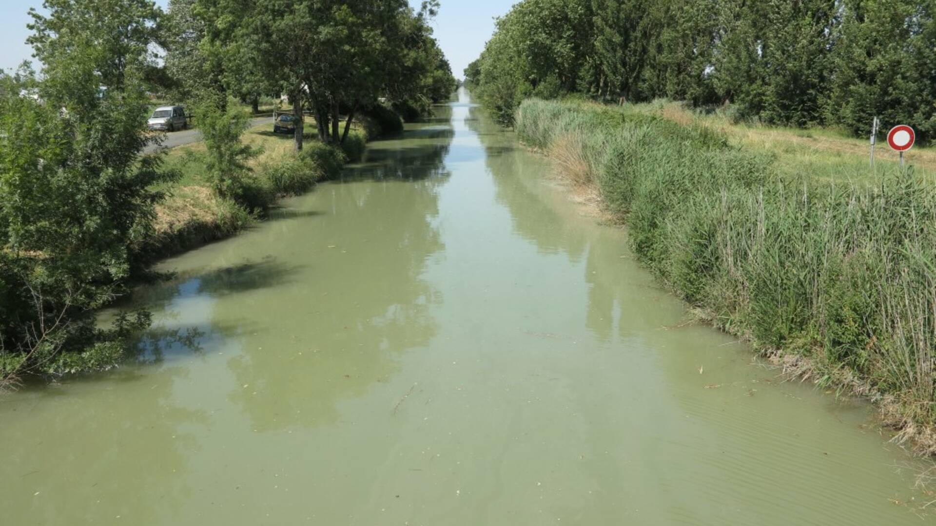 rochefort-ocean-peche-eau-douce-canal-charente-seudre © Fédération départementale pour la pêche et la protection du milieu aquatique