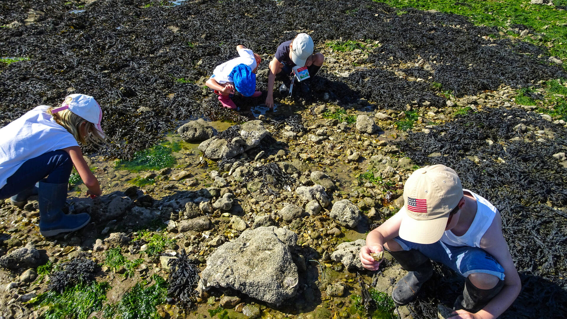 Pêche à pied pour les enfants à Port-des-Barques