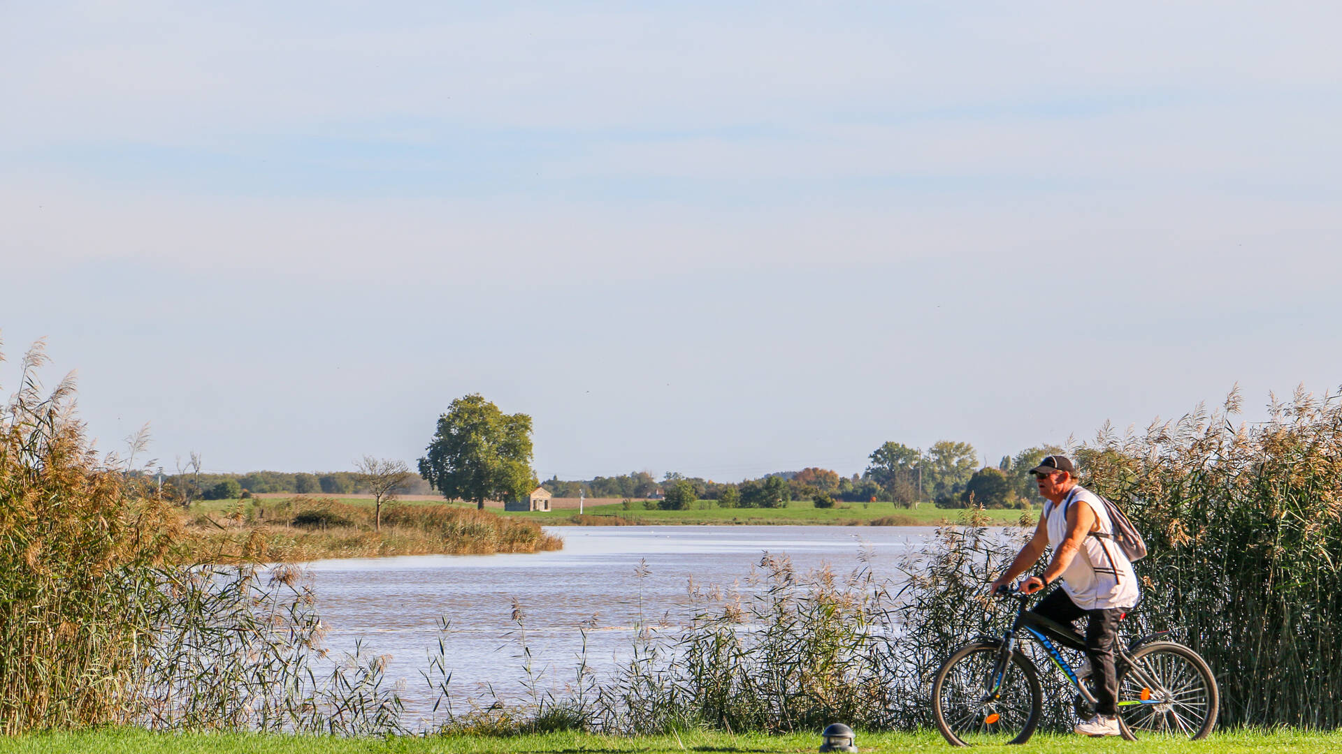 Vue sur les chemins de Charente