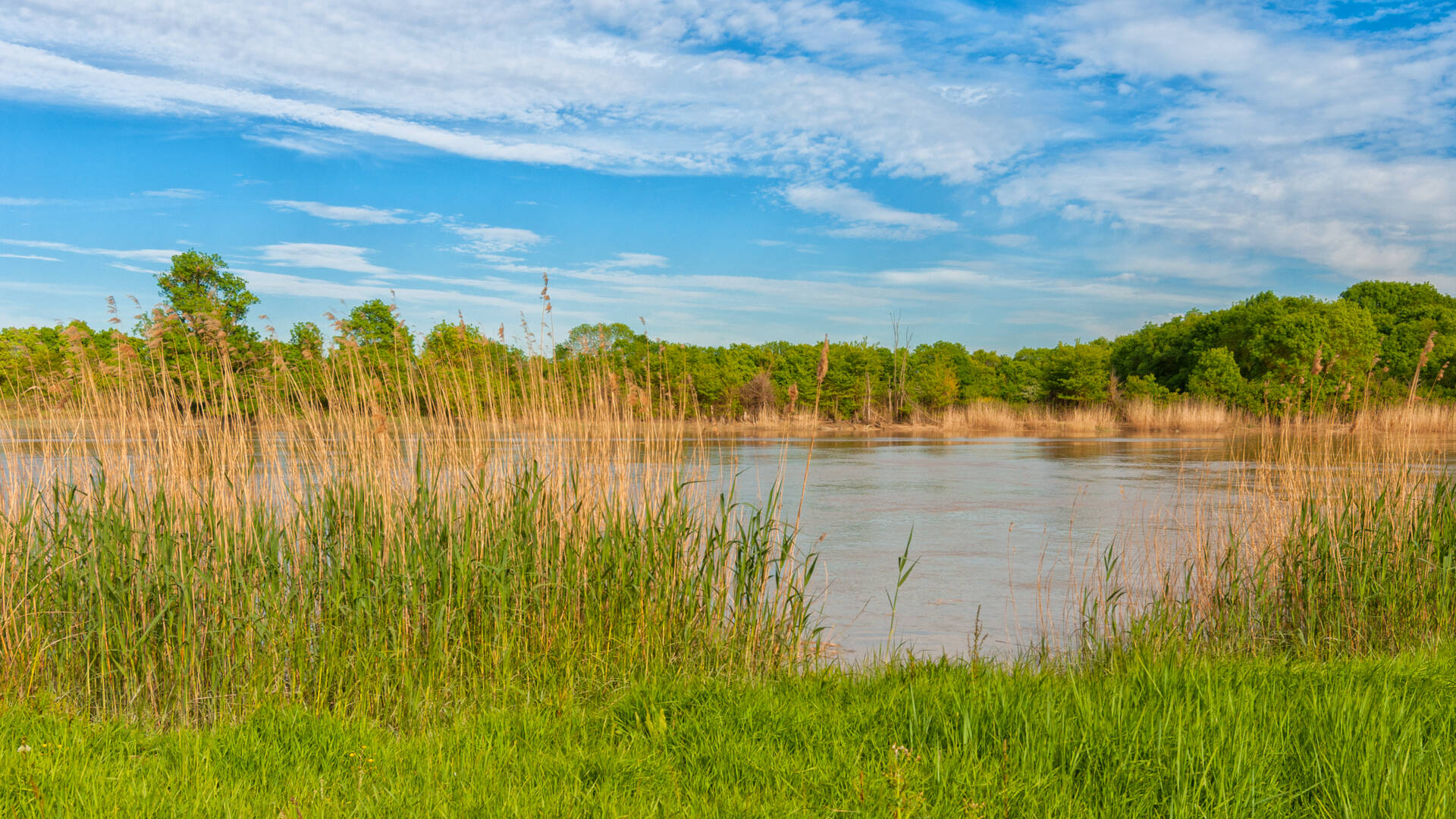 Le fleuve Charente - Rochefort Océan 
