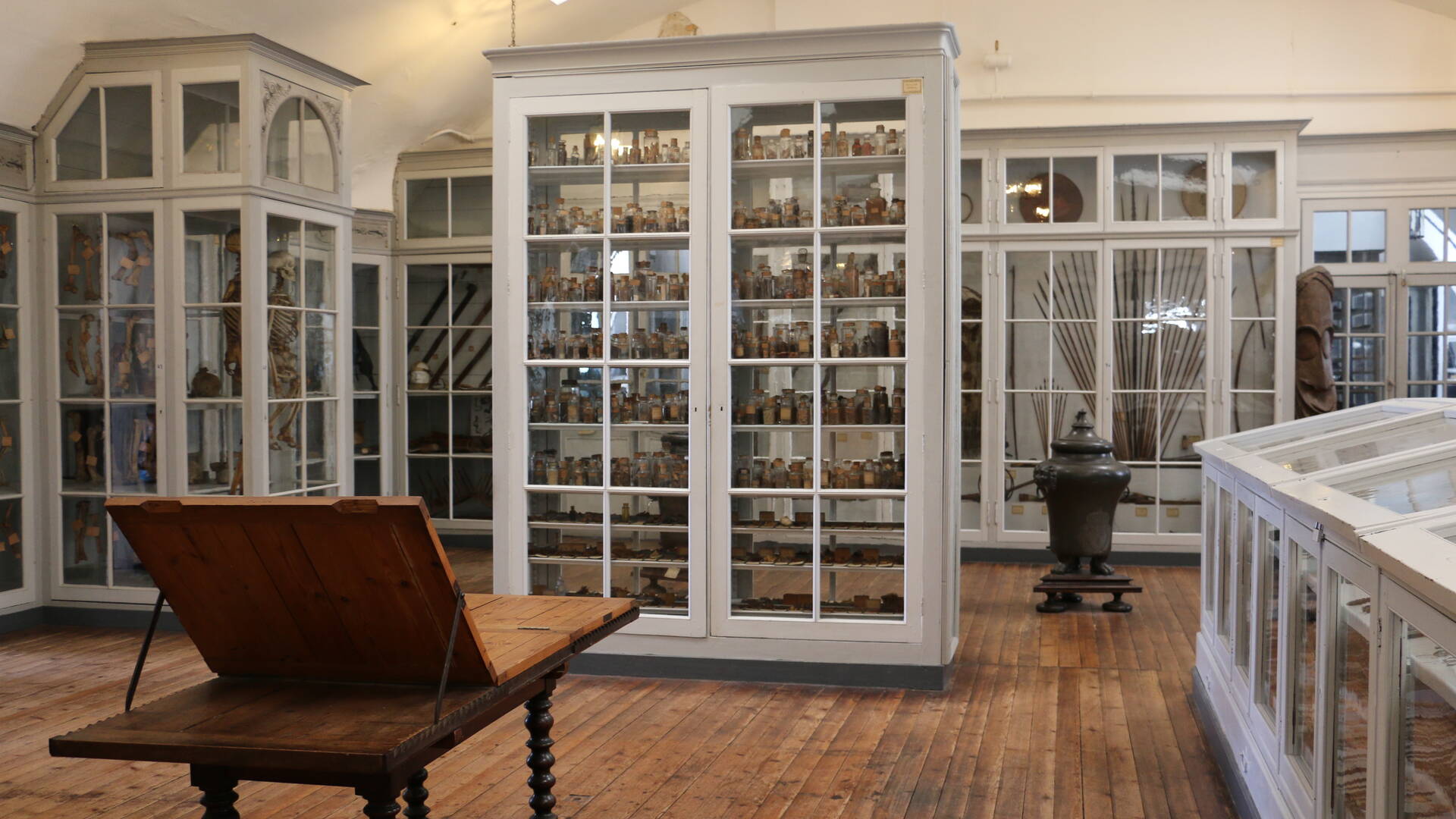 Un véritable cabinet de curiosité