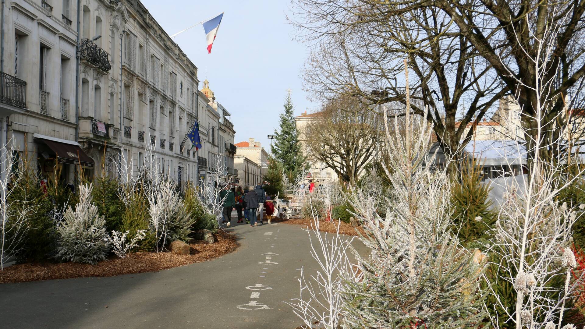 Forêt de sapins et de chalets illuminés Place Colbert © M.DE VIllartay
