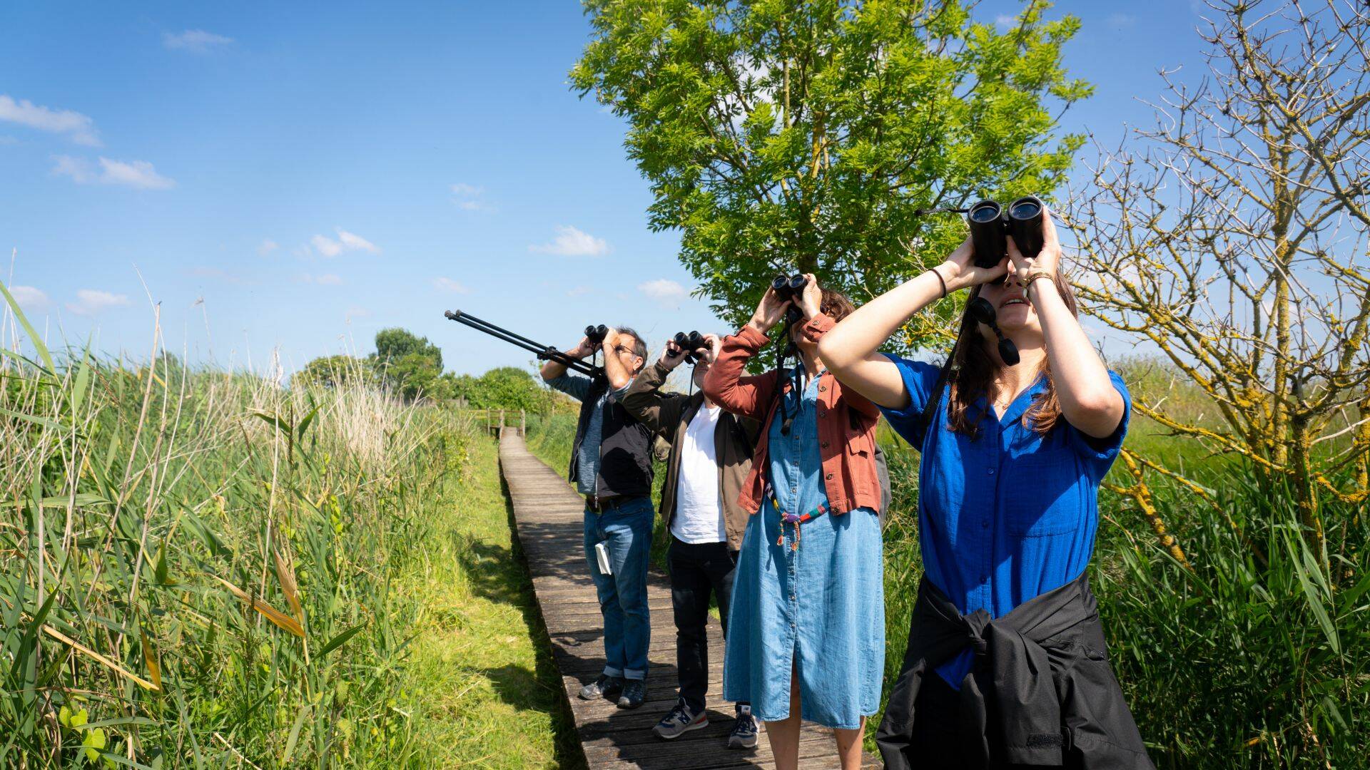 Observation à la Station de lagunage de Rochefort ©Les Coflocs
