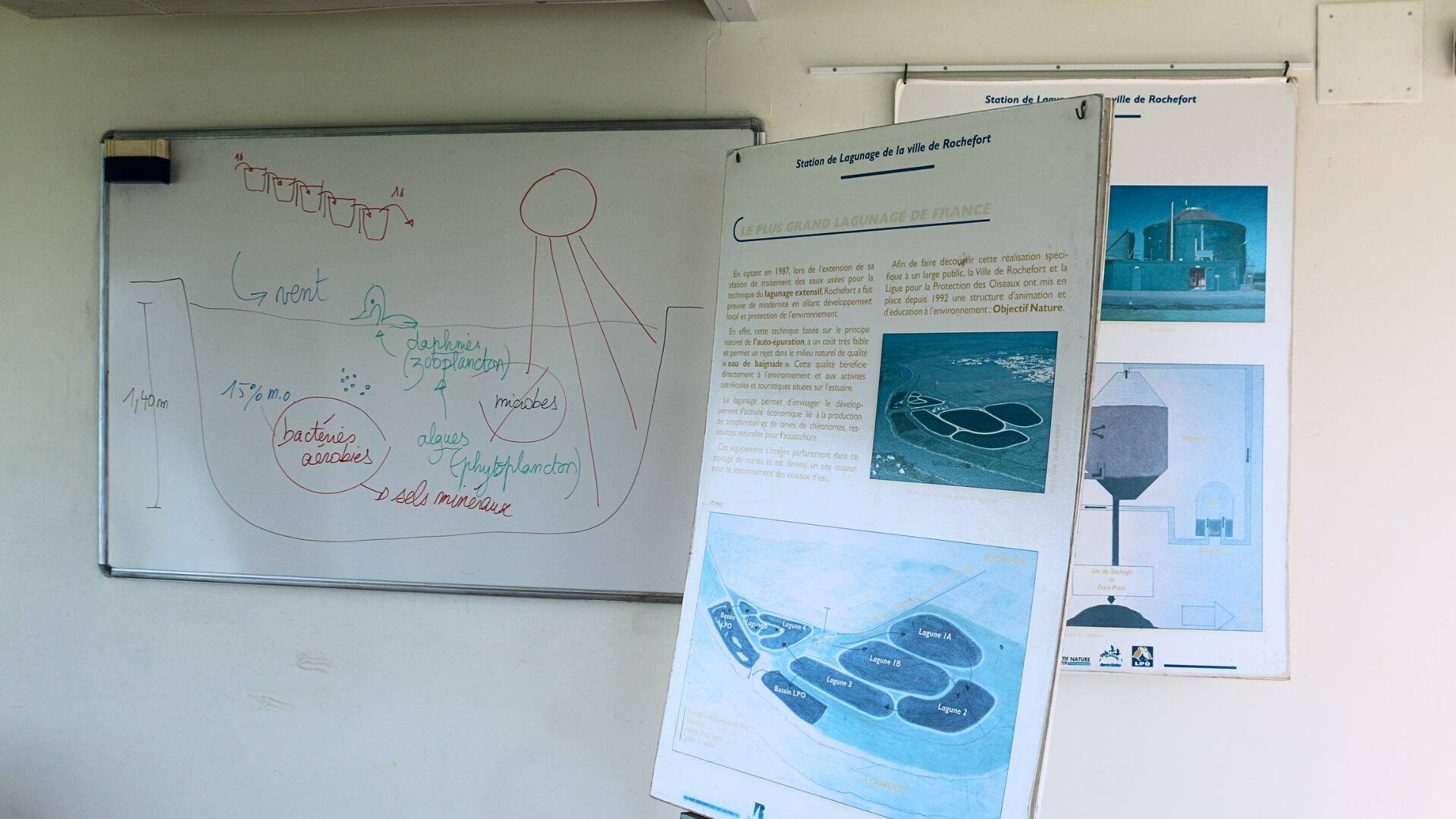 Schéma explicatif du circuit de lagunage.