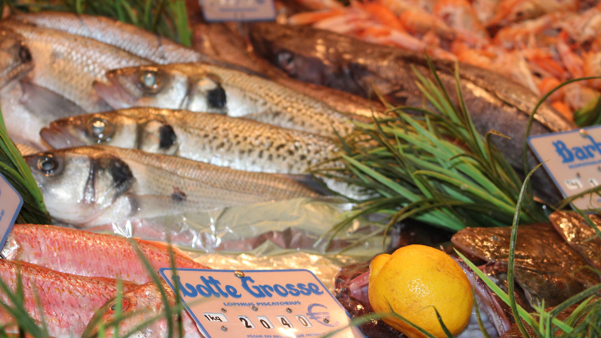 Le marché couvert de Rochefort, les halles, Rochefort Océan