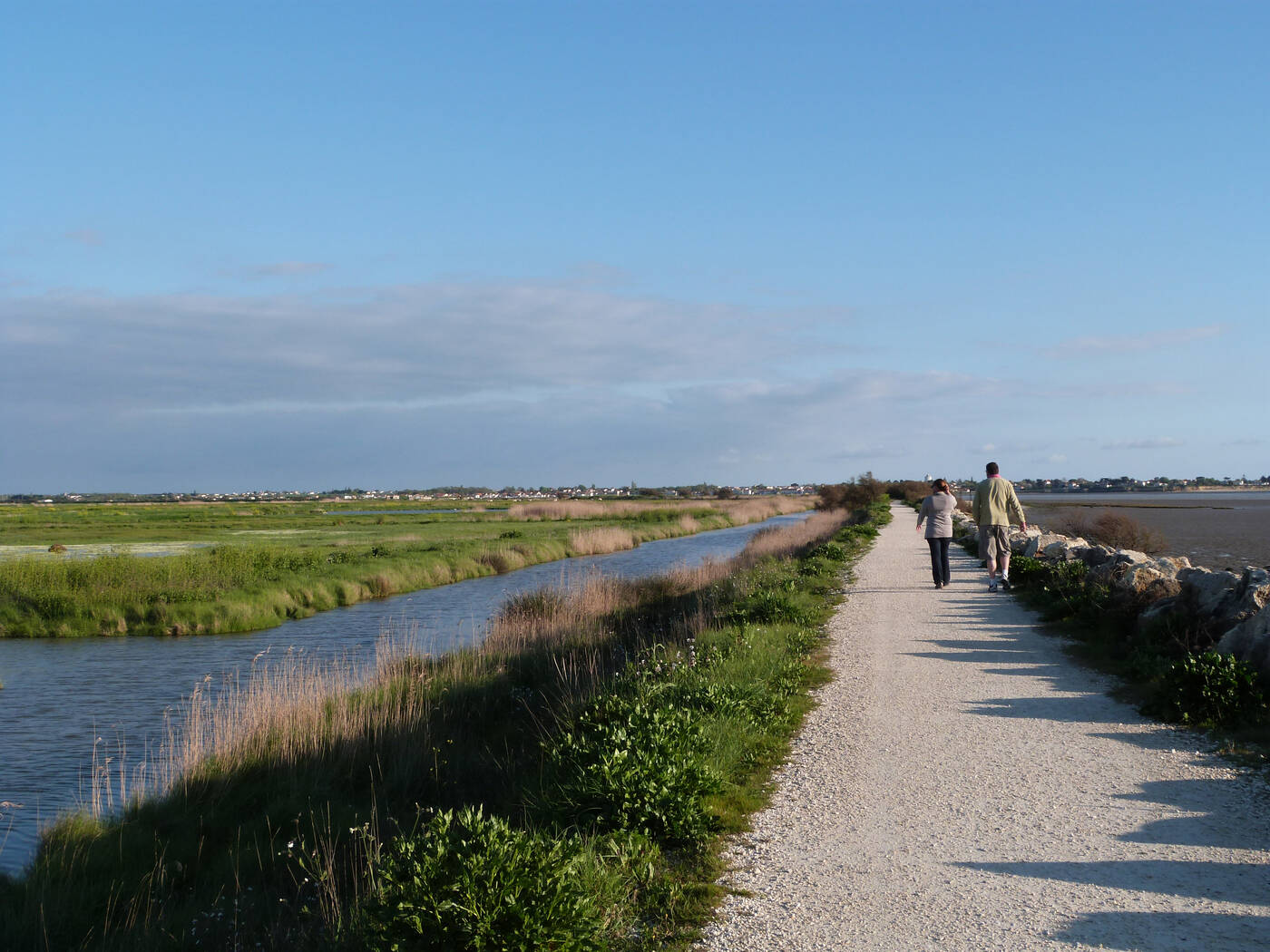 Balade dans le marais de Rochefort Océan
