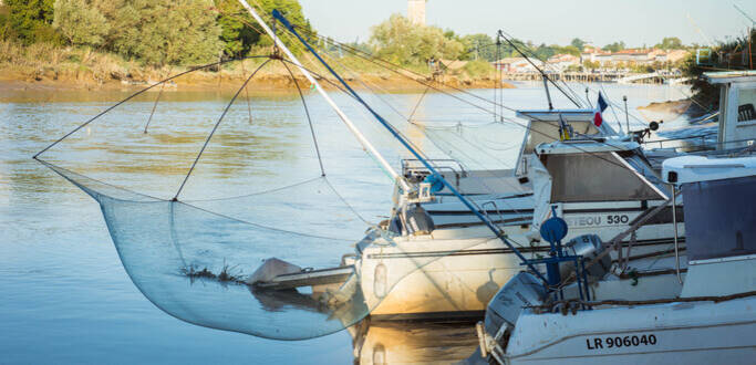 Tonnay-Charente, halte fluviale - © Laurent Pétillon
