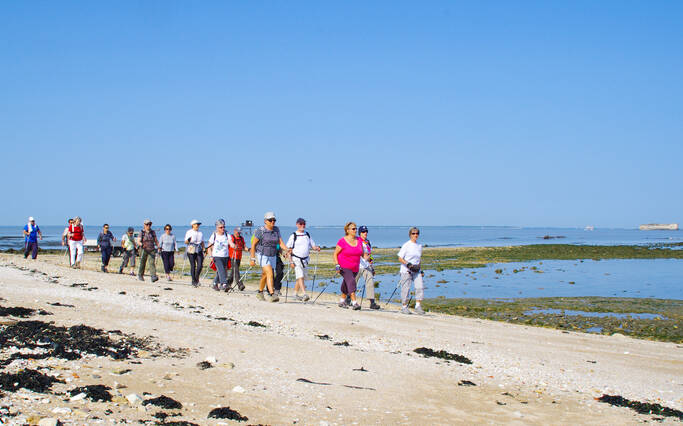 Roam around Rochefort Ocean