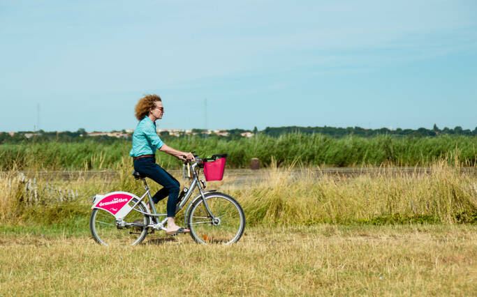 Bike rental 
