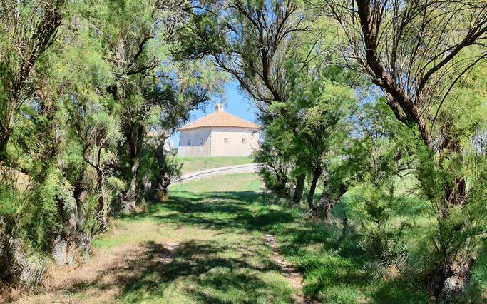 Things to do in Rochefort Ocean