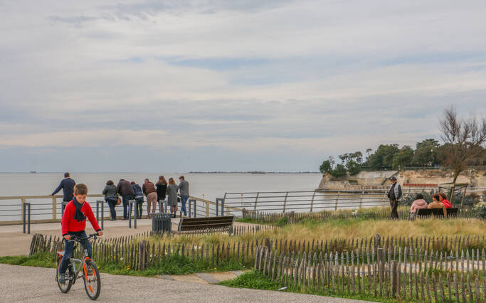 Locations de vélos