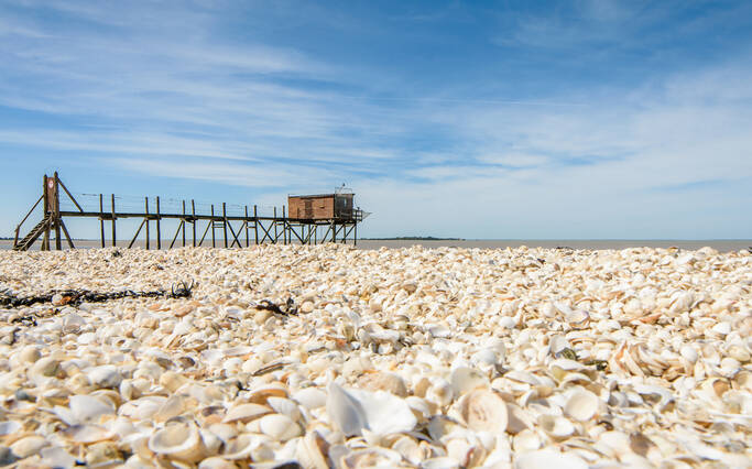 Explorer le littoral… de chez soi ! 