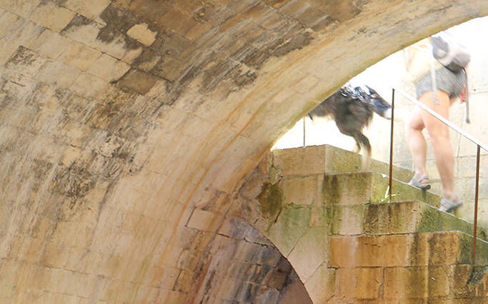 Un peu de fraîcheur à Rochefort Océan