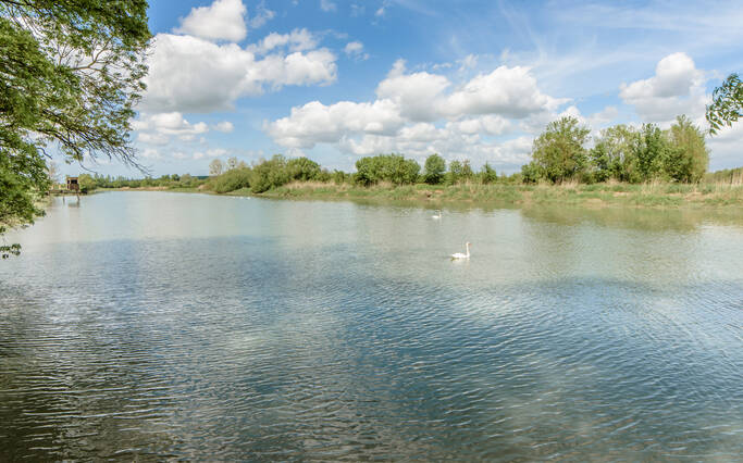 Les bords de Charente : un point de vue remarquable sur Rochefort