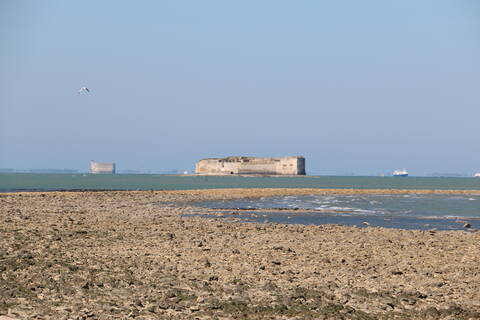 Vue sur les forts Enet & Boyard © Marika Domenici