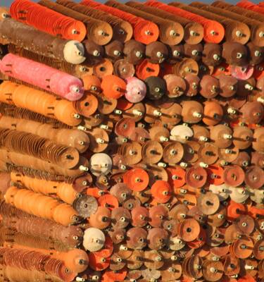 Ostréiculture - Collecteurs pour le capatage des larves en mer, Fouras-les-Bains, Rochefort océan