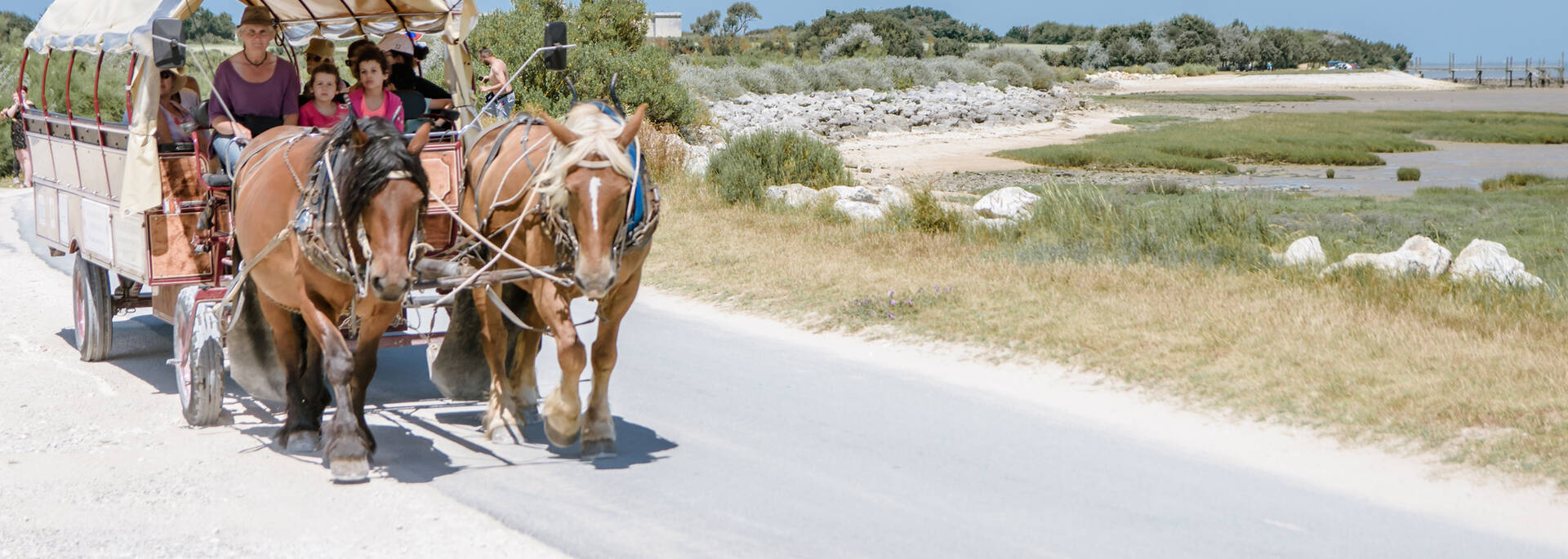 Calèche parcourant l'Île Madame