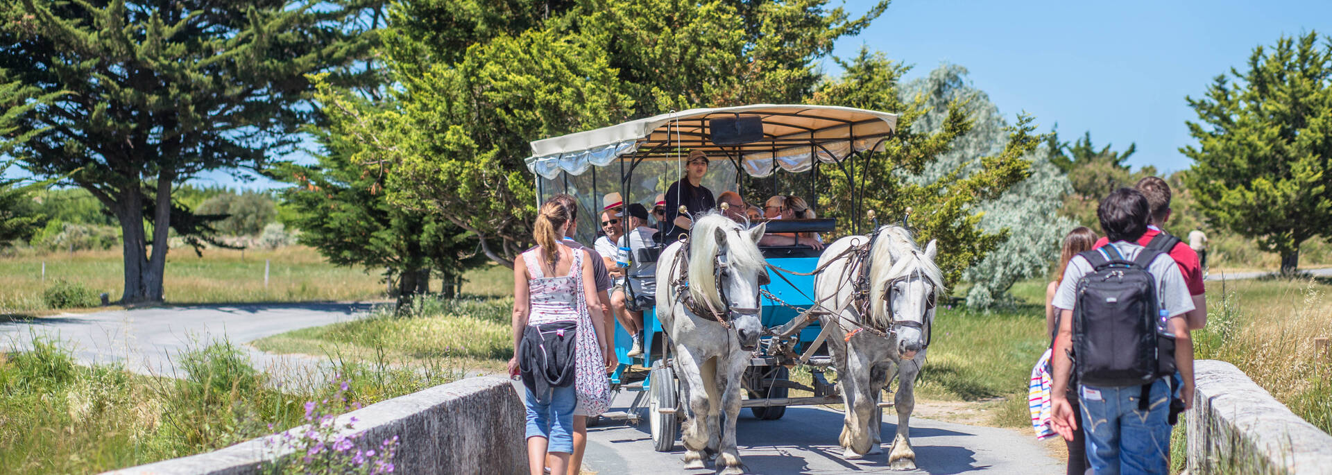 Les calèches de l'île d'Aix