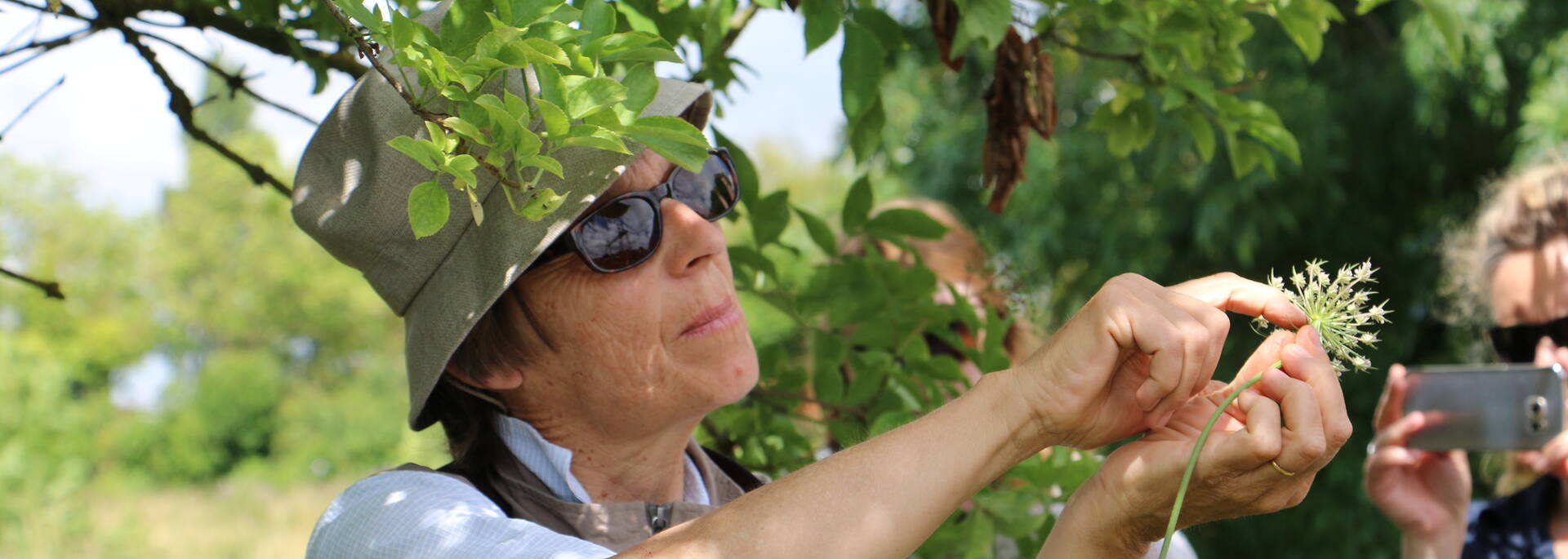 Sortie botanique avec Anne Richard, Fleur de Marée - © Office de tourisme Rochefort Océan
