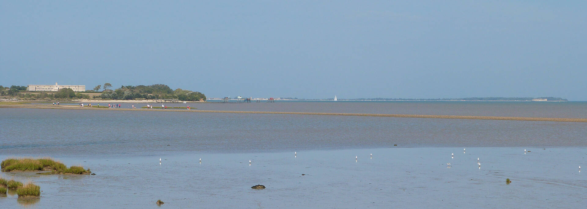 Emprunter la passe aux boeufs à marée basse pour aller découvrir l'île Madame - © Cécile Cailhol