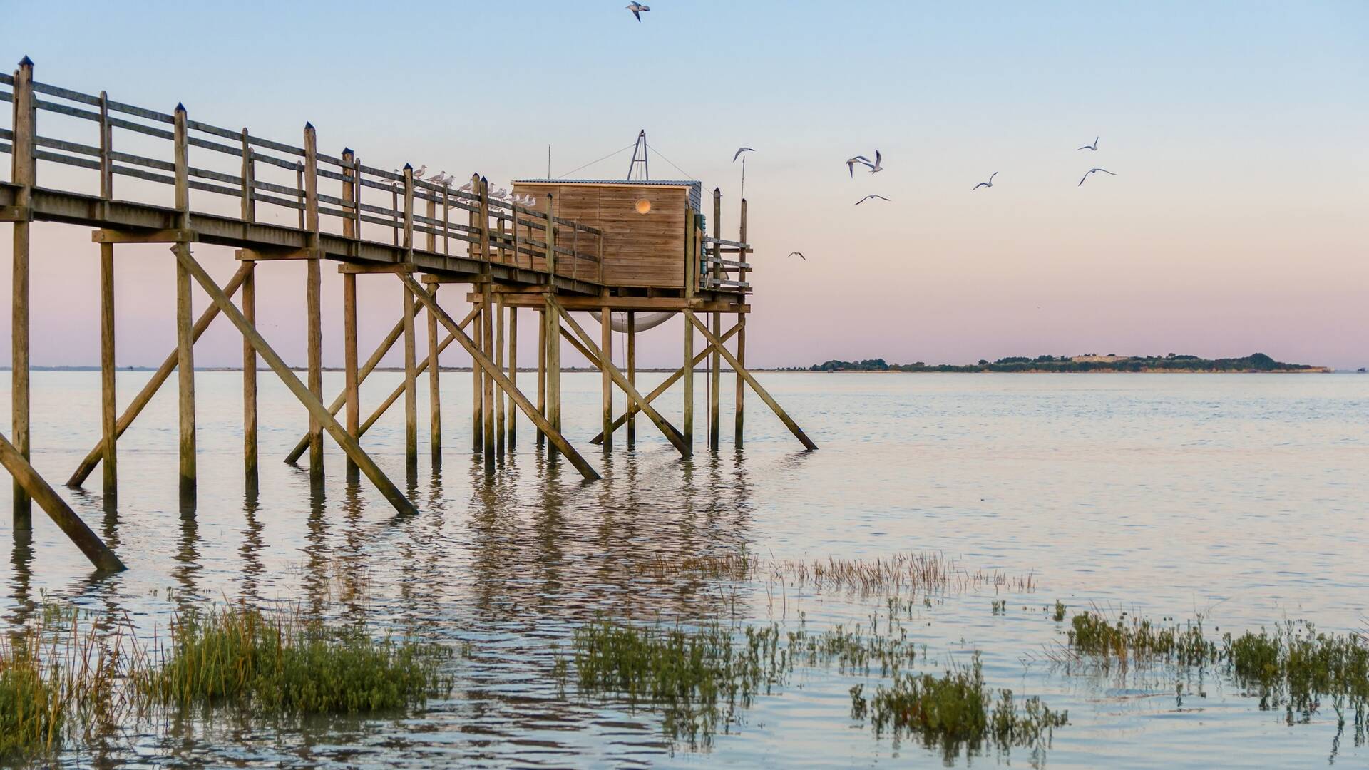 Carrelet à l'estuaire de la Charente © Laurent Petillon 