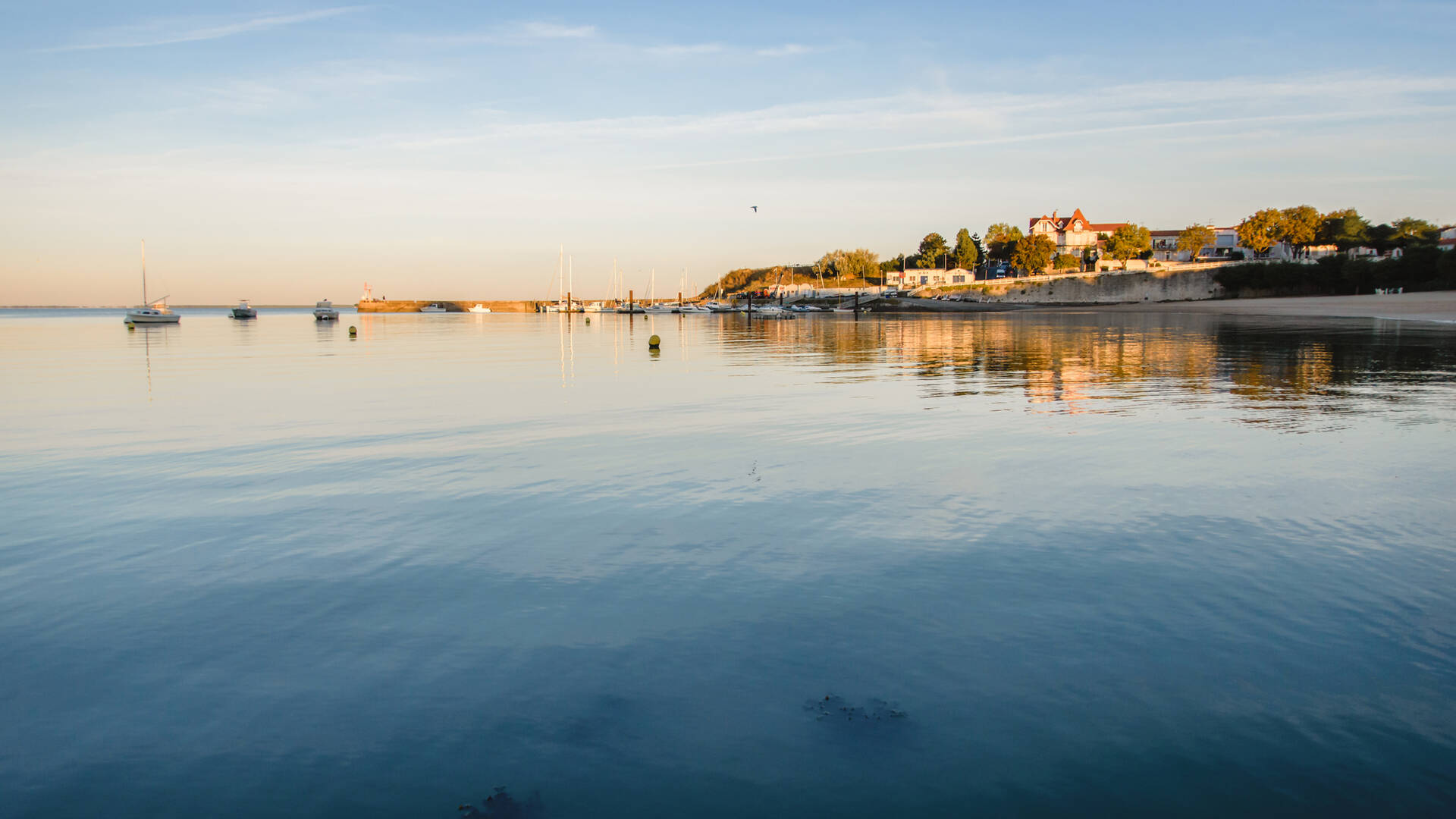 Lever de soleil sur la presqu'île de Fouras-les-Bains ©L.Pétillon