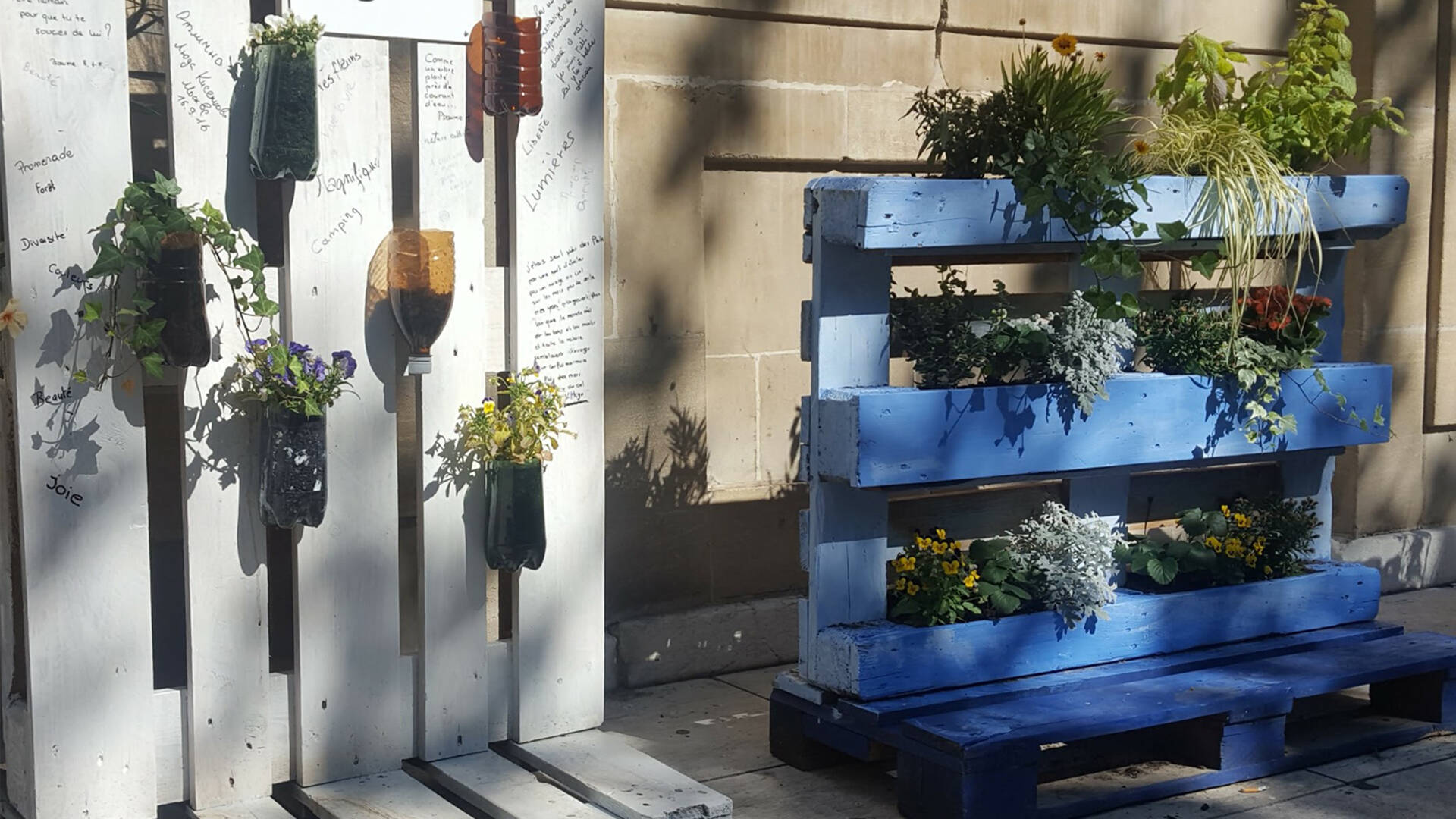 Plantes et fleurs sur palettes ©Chrystelle ECALE