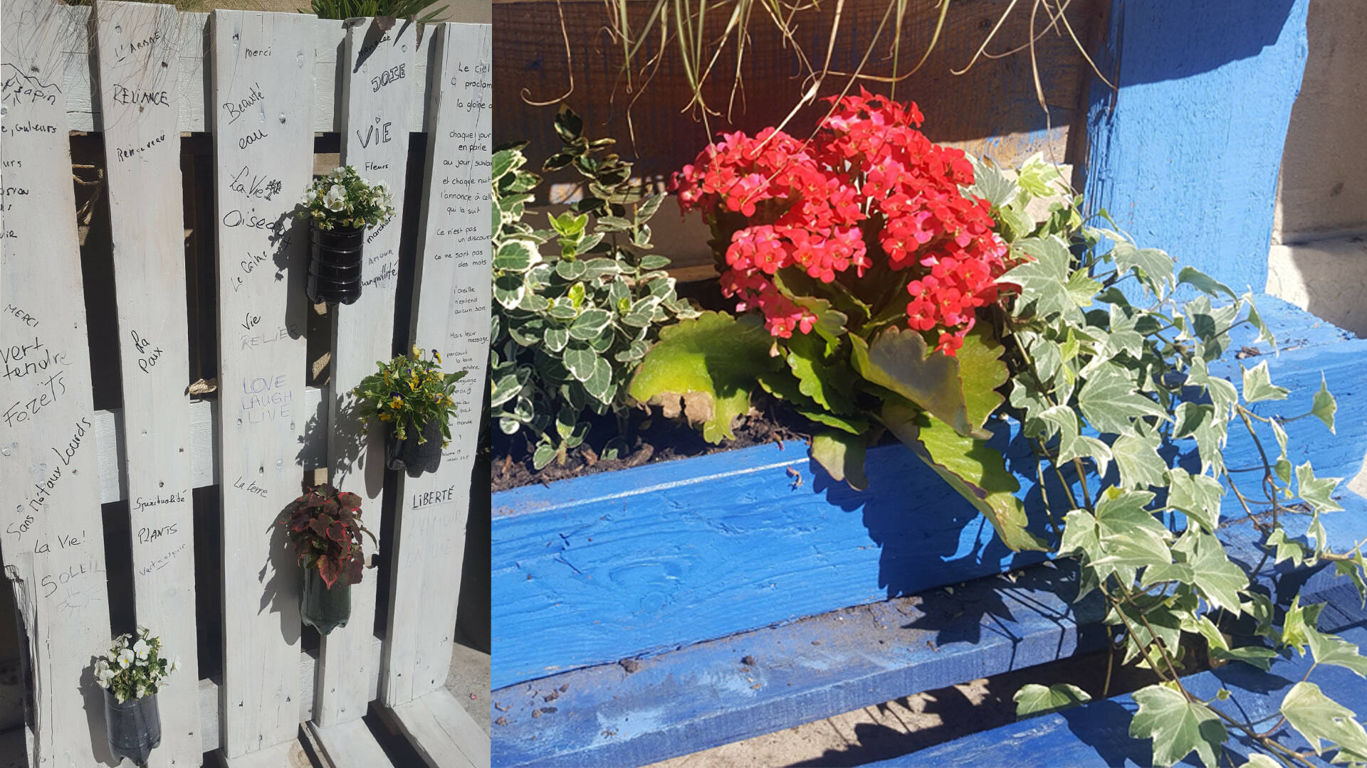 Plantes et fleurs sur palettes ©Chrystelle ECALE