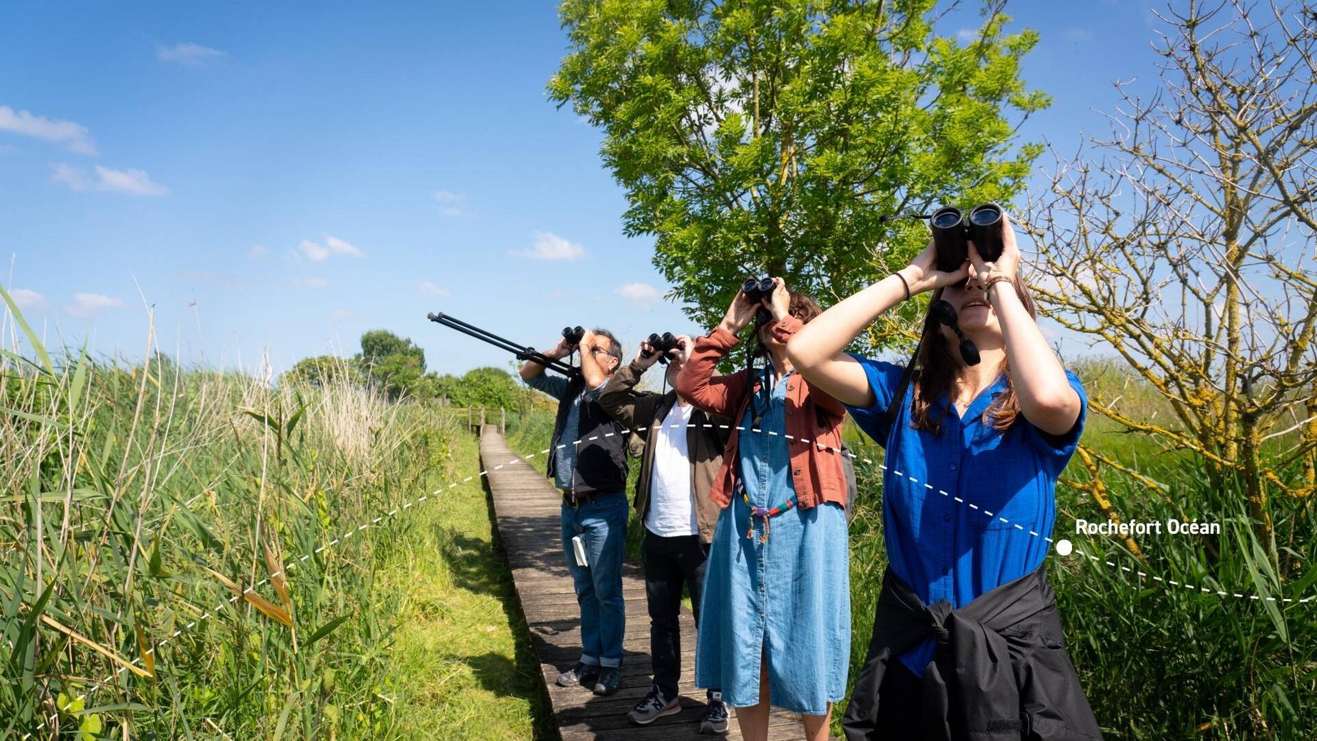 Sortie nature observation d'oiseaux avec la LPO