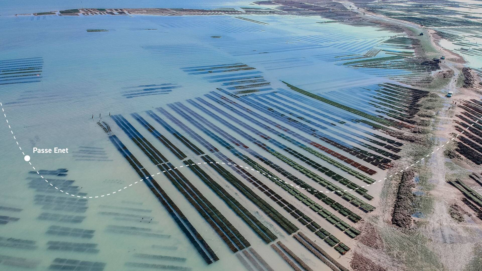 Les parcs ostréicoles s'affairent pour les fêtes de Noël 2025 ©L.Pétillon