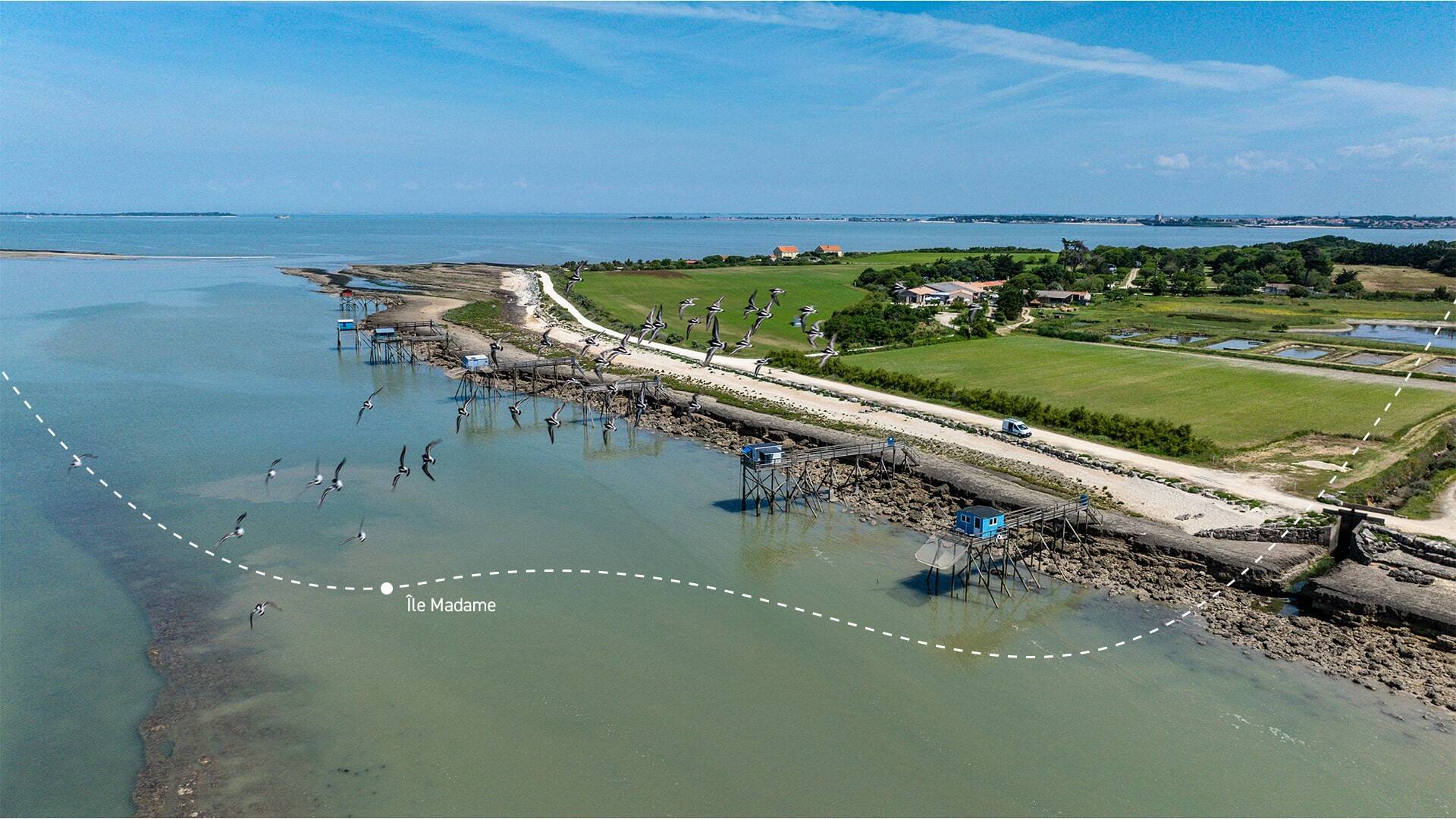 île Madame, île plus petite de Charente Maritime