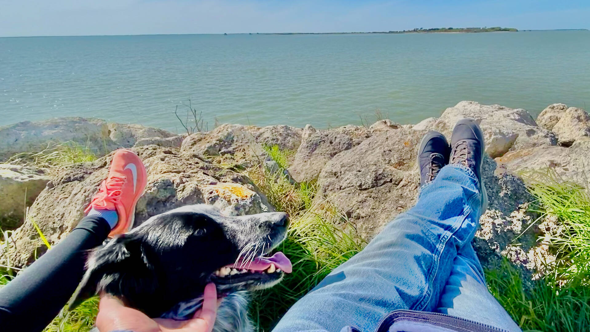 Promenade avec son chien en bord de mer